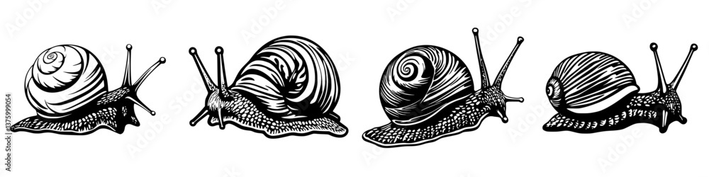Poster snails with unique shell patterns crawling on a surface in natural light during a calm afternoon