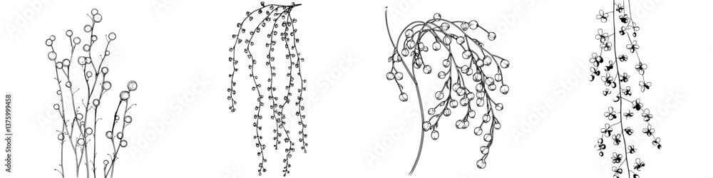 Aufkleber decorative hand-drawn vines with spherical elements in a minimalist style for artistic projects and 