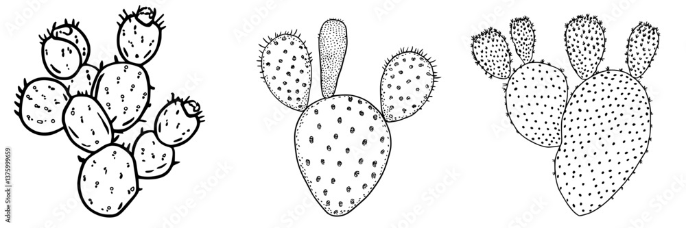 Poster unique illustrations of cacti in various formations showcasing their distinctive shapes and textures