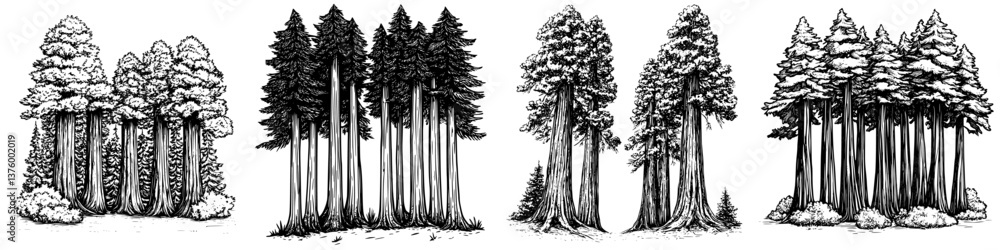 Aufkleber detailed illustration of different types of trees in a forest showcasing various sizes and shapes du