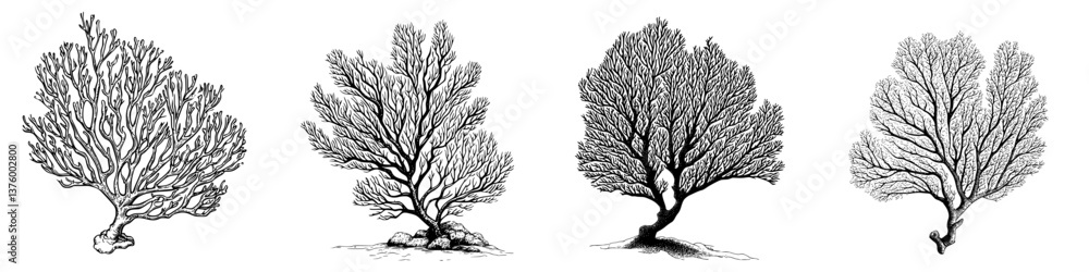 Poster unique sketches of various tree silhouettes showcasing intricate branch patterns under natural light