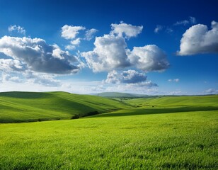 Fototapeta premium A serene landscape of vibrant green meadows under a vast blue sky dotted with fluffy white
