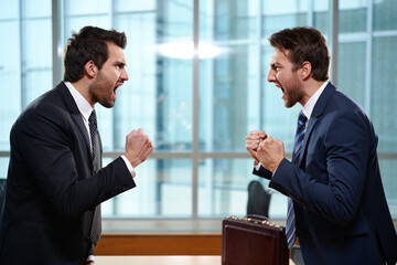 Fototapeta premium An Intense and Heated Business Argument Erupts Between Two Professionals in a Modern Office.