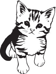 Cute kitten. Hand drawn vector illustration