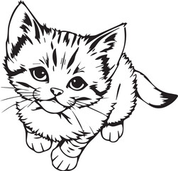 Cute kitten. Hand drawn vector illustration