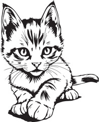 Cute kitten. Hand drawn vector illustration