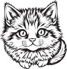 Cute kitten. Hand drawn vector illustration