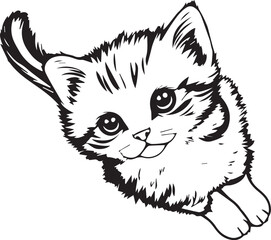 Cute kitten. Hand drawn vector illustration