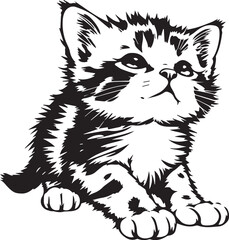 Cute kitten. Hand drawn vector illustration