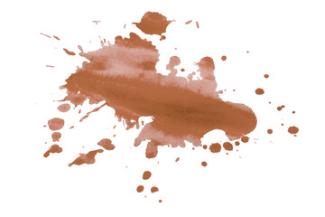 brown brush paint stain isolated on transparent background