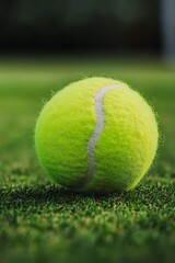 Tennis Ball Closeup View, Green Grass, Empty Court Background During Day With Copy Space