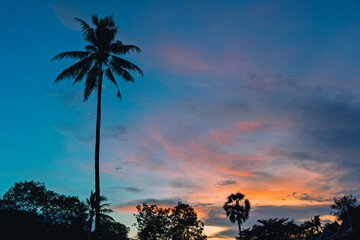 南国の夕暮れ、ヤシの木とカラフルな空