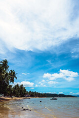 静かな熱帯のビーチ 青い海とヤシの木