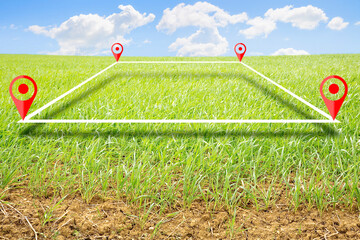 Land plot management real estate concept with a vacant land on a green field available for building...