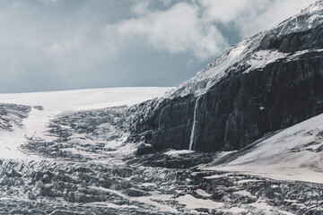 landscape and nature photograph shot during a summer journey in canada, with lakes, rocky mountains, animals and clouds through wide pine tree forests
