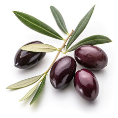 Fresh Black Olives with Olive Leaves on White Background