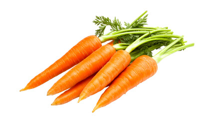 Fresh orange carrots with green leaves on black background, cut out transparent
