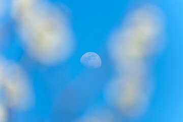 春の青空に浮かぶ月