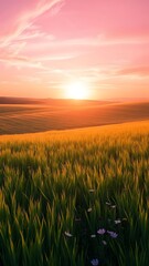 Fototapeta premium Serene Sunset Over Golden Fields