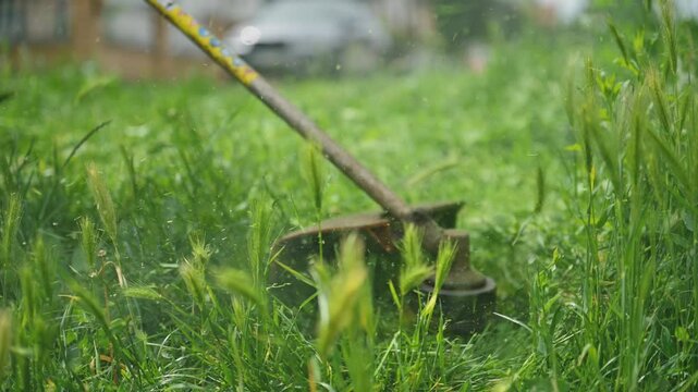 Lawn trimming with handheld string trimmer grass cutter and mower, 4K slow motion 120 fps
