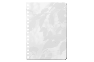 sheet of paper on a transparent background with a shadow of tree leaves