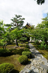 京都鹿王院の参道の風景