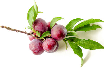 Fresh Juicy Plum with Green Leaves on White Background