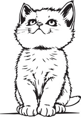 Cute kitten. Hand drawn vector illustration