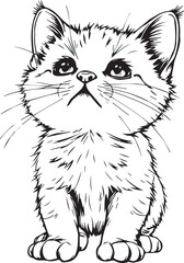 Cute kitten. Hand drawn vector illustration