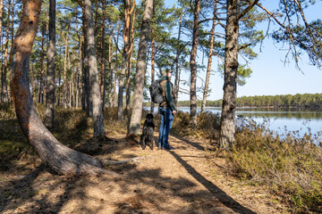 Obraz premium Hiker and dog in pine forest near bog lake, peaceful moment in nature with blue sky and reflections – eco lifestyle and wilderness travel concept