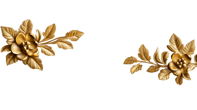 Golden flower design elements on black background, cut out transparent