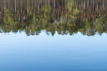 Vertical Pine Tree Reflections in Calm Lake Water – Serene and Textured Nature Background with Forest Silhouette and Blue Sky