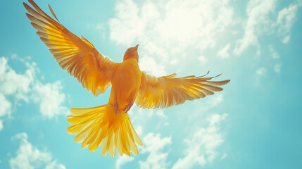 Bright yellow bird flying against a clear blue sky