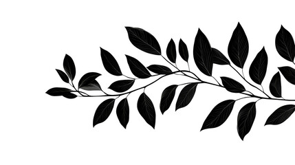 Drawn branch with leaves in black and white, cut out transparent