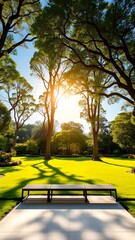 Serene Park at Golden Hour
