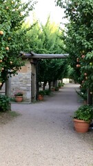 Serene Orchard Pathway