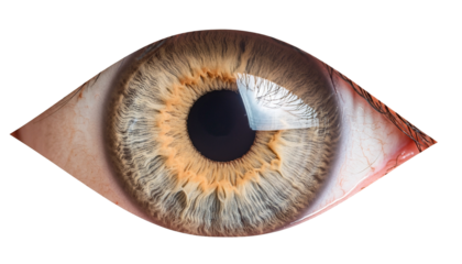 a macro shot of a human eye, showcasing intricate details