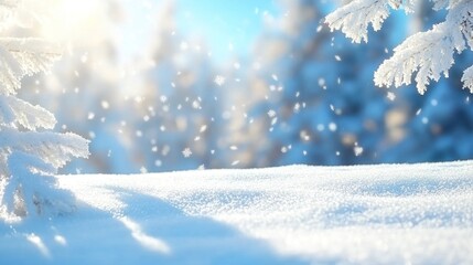 Snowy winter landscape with sunlit snow and frosted pine branches.