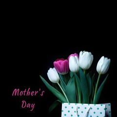 Blooming Tribute: A vibrant bouquet of tulips, with petals unfurling in a riot of colors, exudes a sense of spring's arrival and the essence of maternal affection
