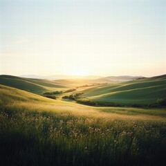 Fototapeta premium A panoramic view of a large meadow, where the grass is gently waving in the wind, with a clear, bright sky stretching overhead, and soft light illuminating the landscape