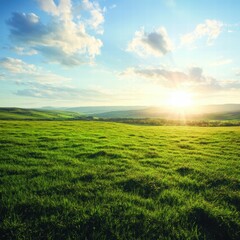 Fototapeta premium A large open field of bright green grass, the sunlight shining down and creating a natural, lifelike glow on the grass while the vast blue sky extends above, adding openness to the scene