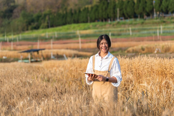 Happy smart farmer woman with digital tablet in wheat field, agricultural business asian woman using wireless technology modern agribusiness concept.
