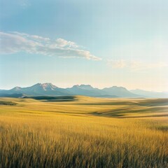 A wide-open field with a distant mountain range on the horizon, the field of grass stretching endlessly toward the mountains under a vast, clear sky, capturing the natural scale of the landscape