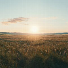 A realistic scene of a wide grassland at dusk, where the fading light creates a warm glow over the tall grass, casting realistic shadows across the field, with the sky above gradually darkening