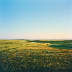 A panoramic shot of a wide-open field of green grass, the sun casting natural highlights on the grass, with the distant horizon barely visible under the expansive, clear blue sky