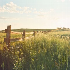 A large meadow with dense grasses and an old wooden fence, the grass flowing gently in the breeze and the sky providing a realistic contrast with the light on the fence and surrounding plants