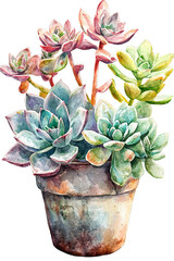 Succulent is looking vibrant, flourishing in pot. Beautiful