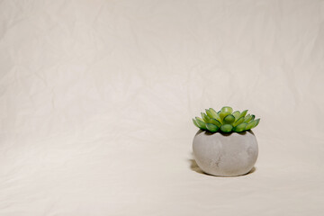 beige background with an element of decor in the form of a small pot with a cactus