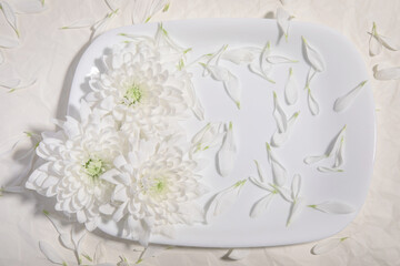 large white flowers on a white plate with a beige background