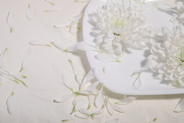 small petals on a beige background with floral elements on a plate